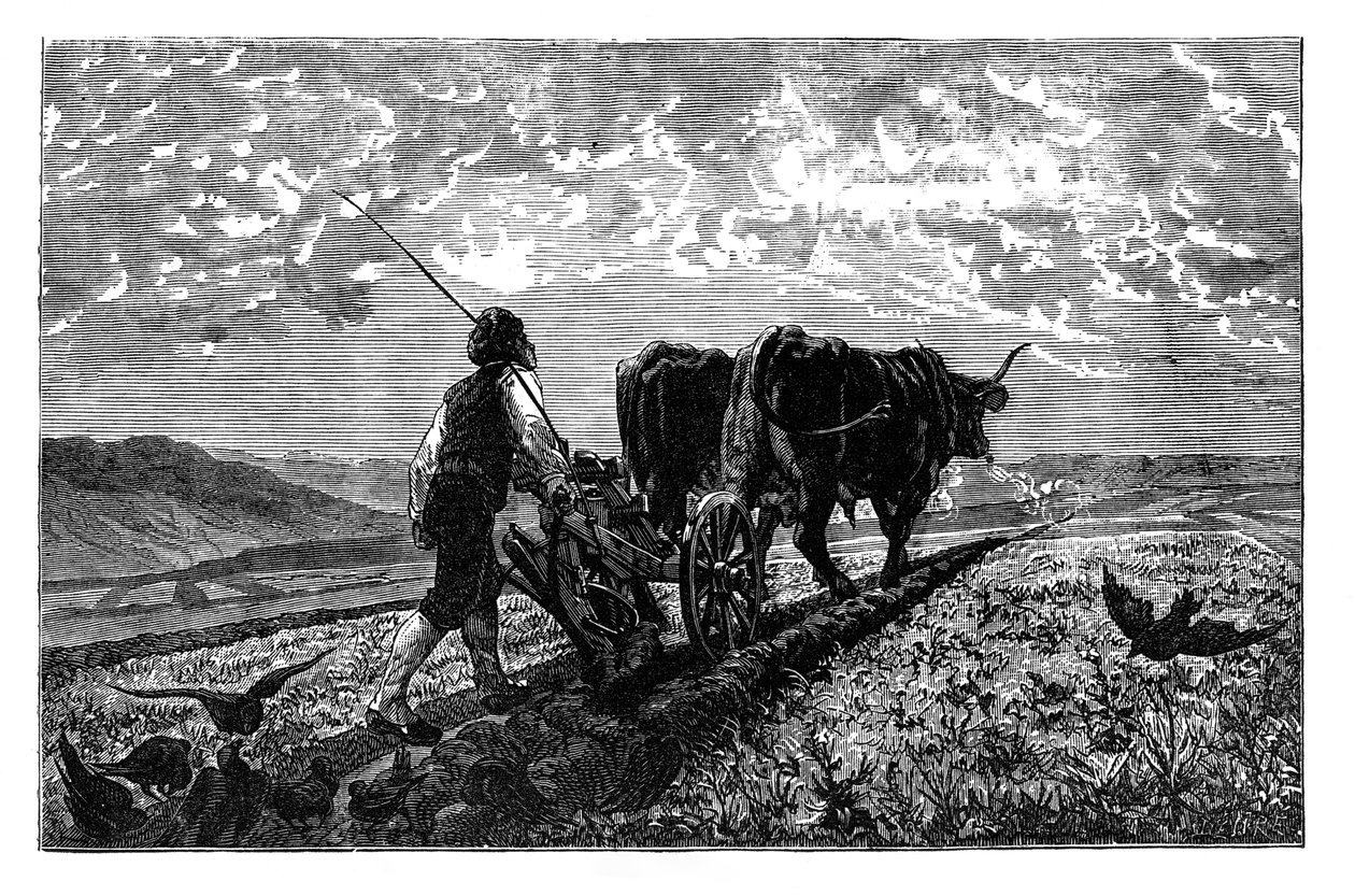Un agricoltore francese, c1890 da Unbekannt