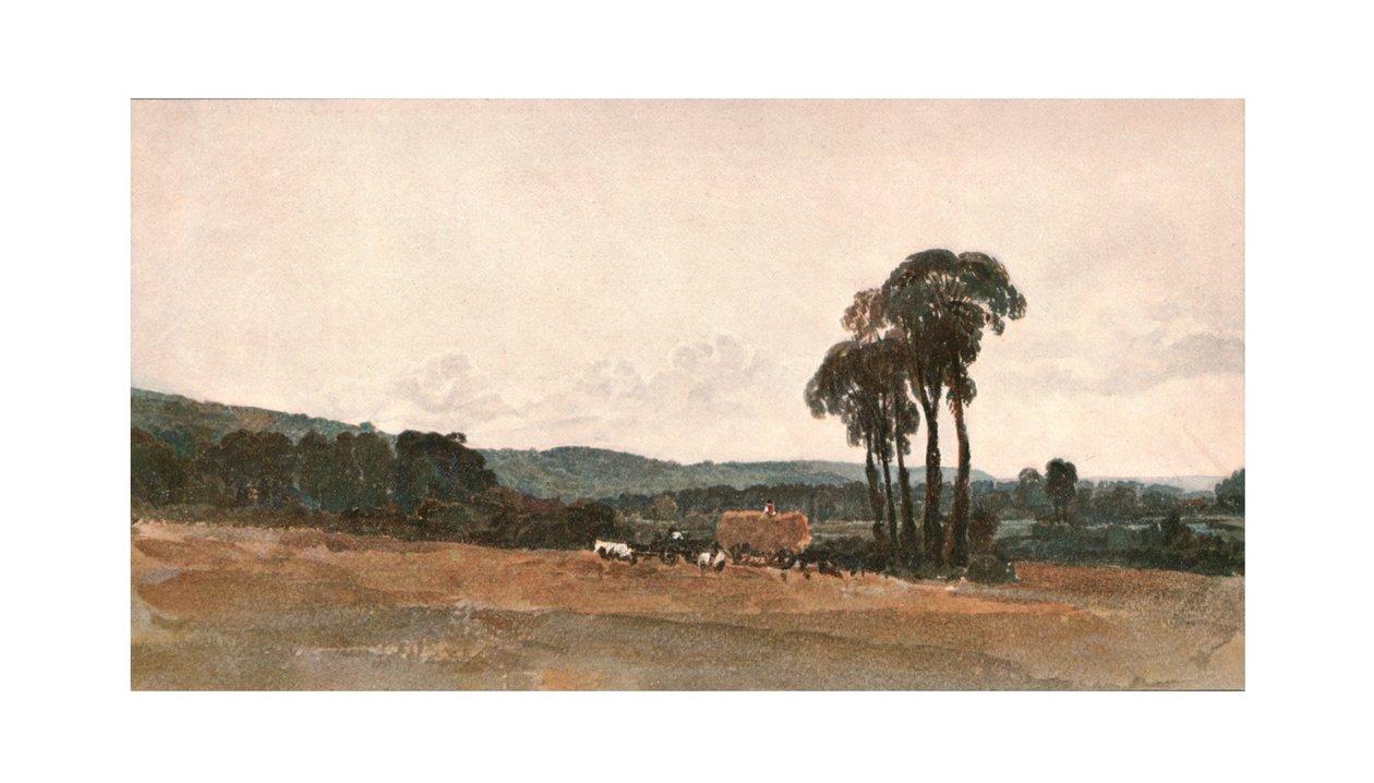 Una scena di raccolto - uno schizzo all