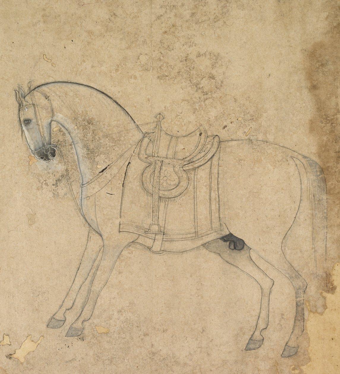 Un cavallo sellato, c. 1750 da Unbekannt