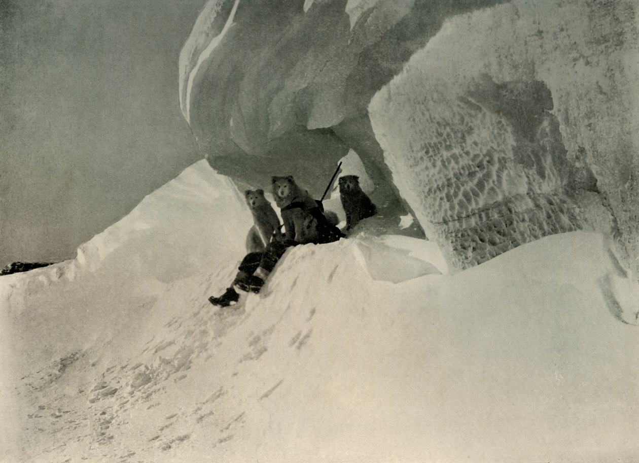 Una cornice di neve da Unbekannt