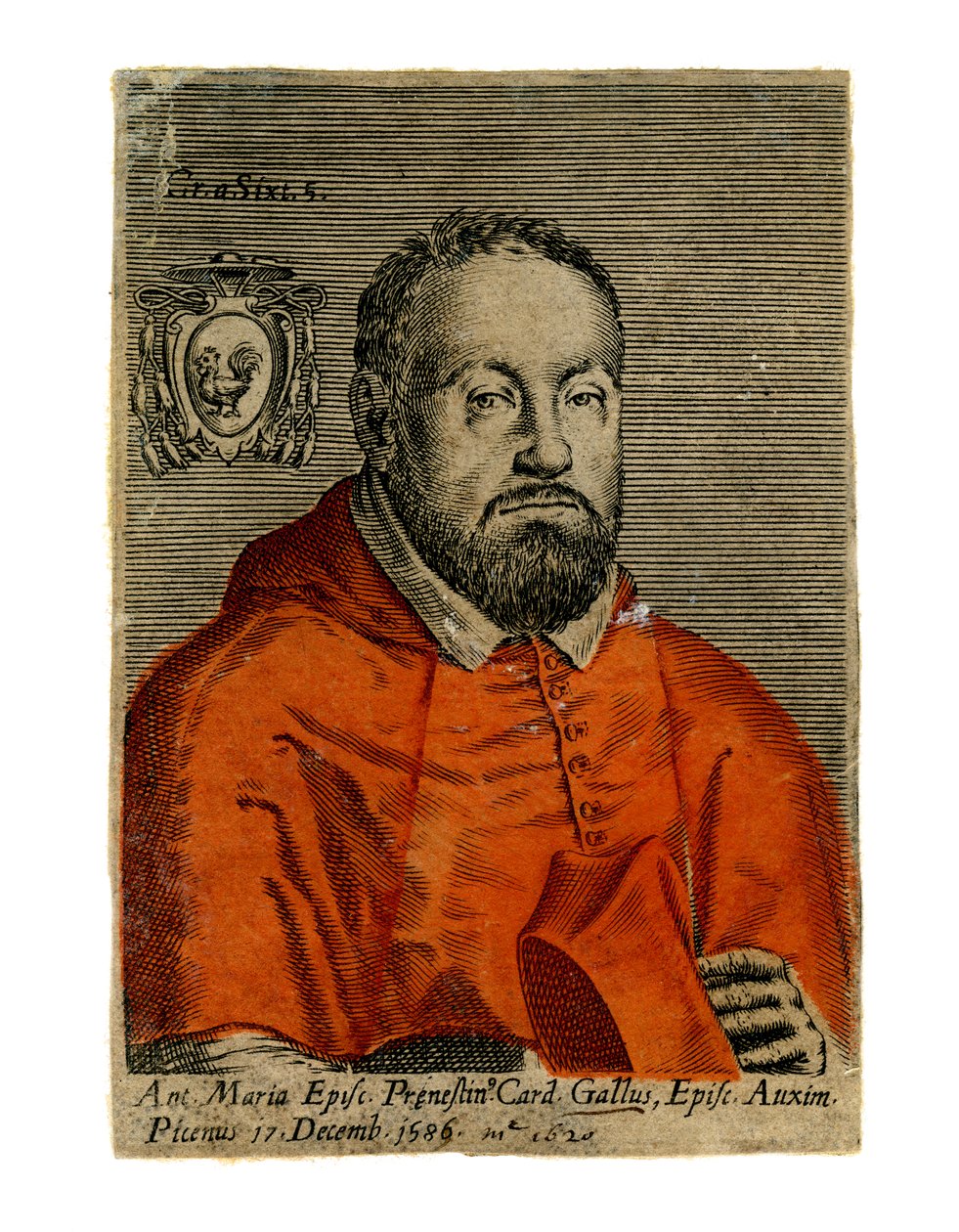 Un cardinale da Unbekannt