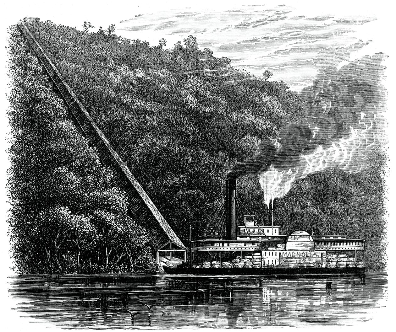 Scivolo per il cotone, Stati Uniti, c1880 da Unbekannt
