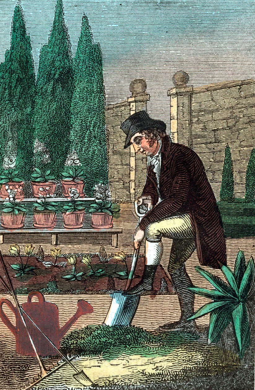 Un giardiniere che scava con una vanga, 1821 da Unbekannt
