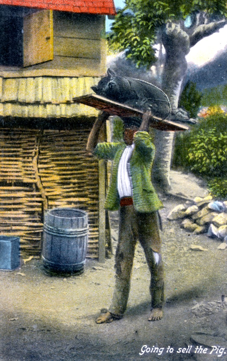 Un uomo in viaggio verso il mercato per vendere un maiale, Giamaica, c1900s da Unbekannt