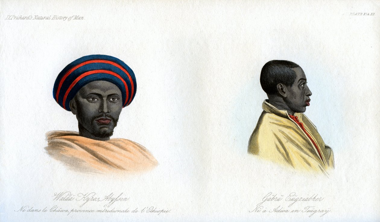 Ritratti abissini, 1848 da Unbekannt