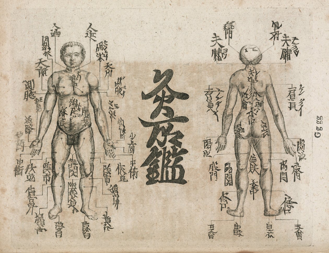 Mappa del corpo umano per l