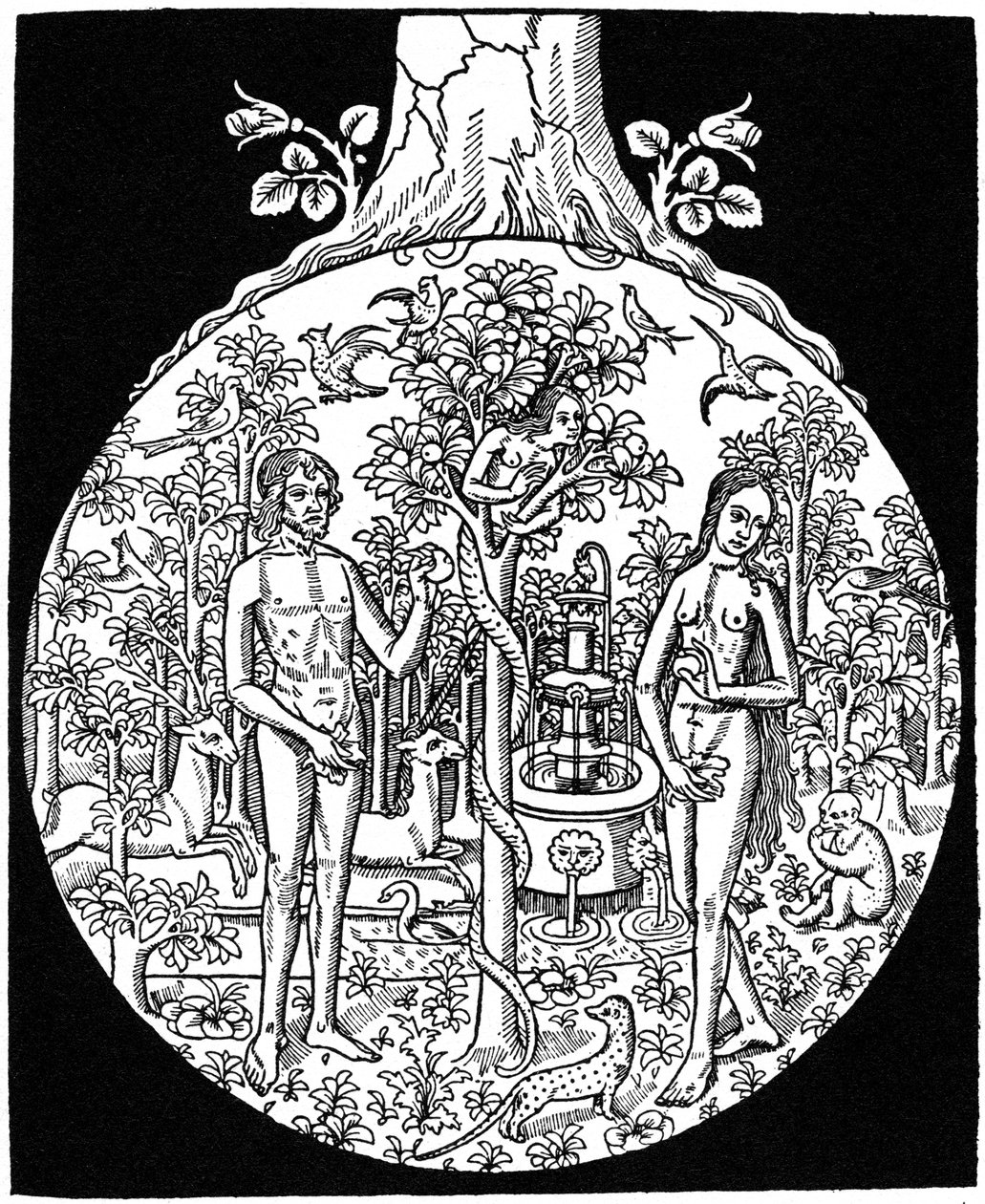 Adamo ed Eva, 1505, 1964 da Unbekannt