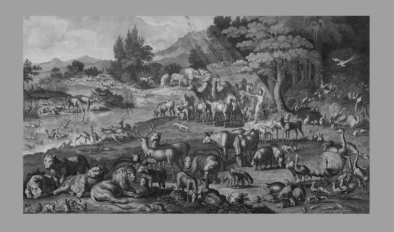 Adamo nomina la creazione, 1818 da Unbekannt