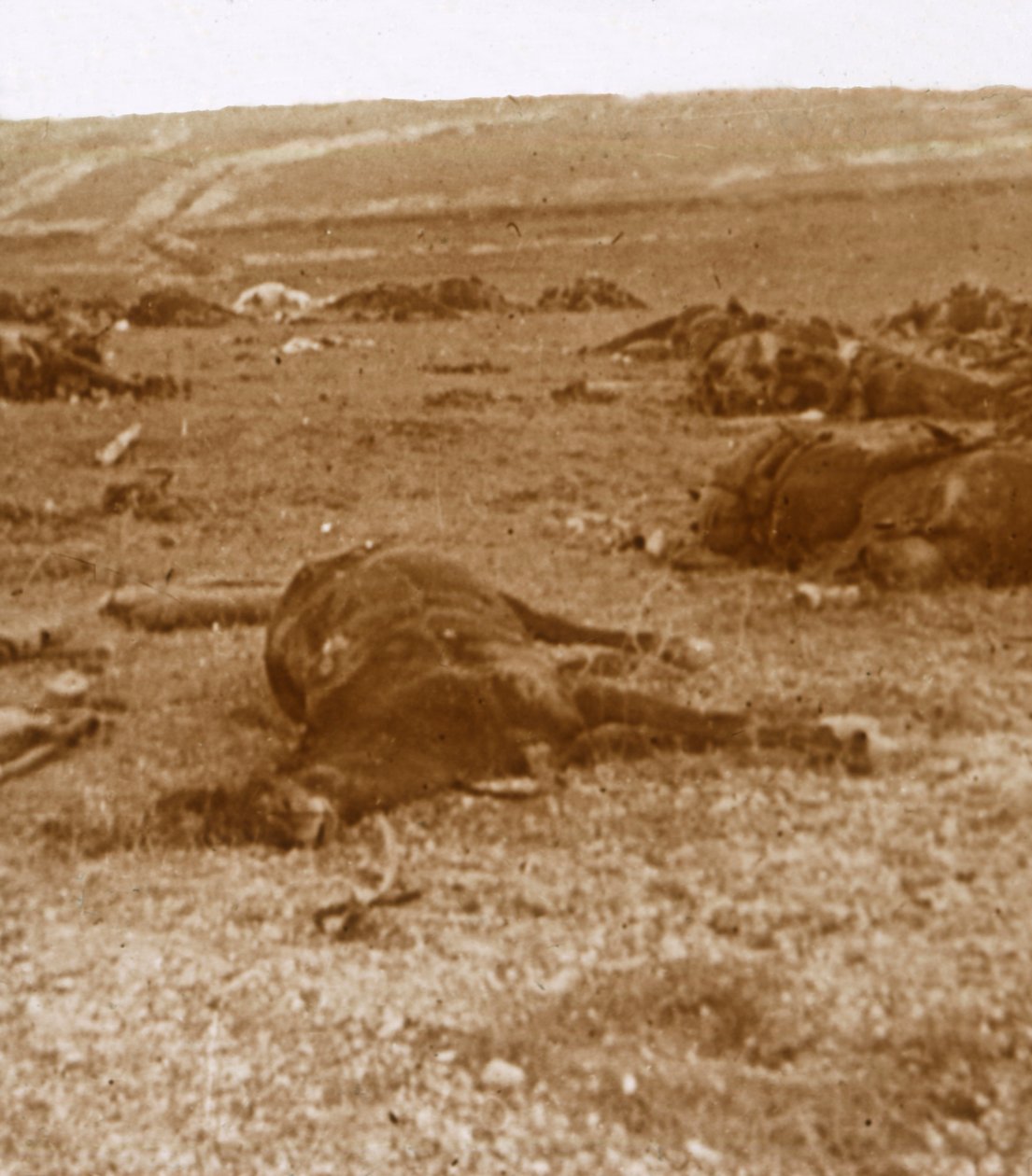 Dopo la carica, Beauséjour, Francia settentrionale, c1914-c1918 da Unbekannt