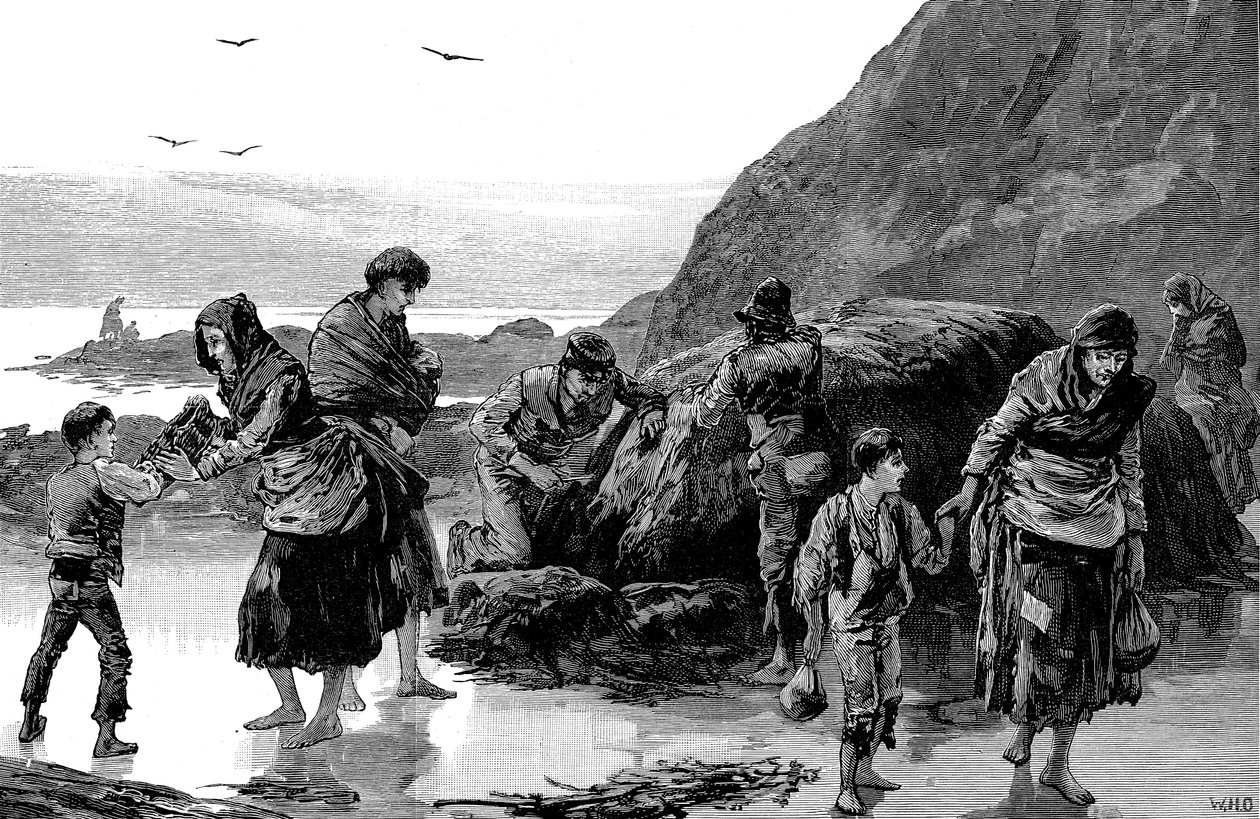 Conseguenze della carestia, Irlanda 1840 da Unbekannt