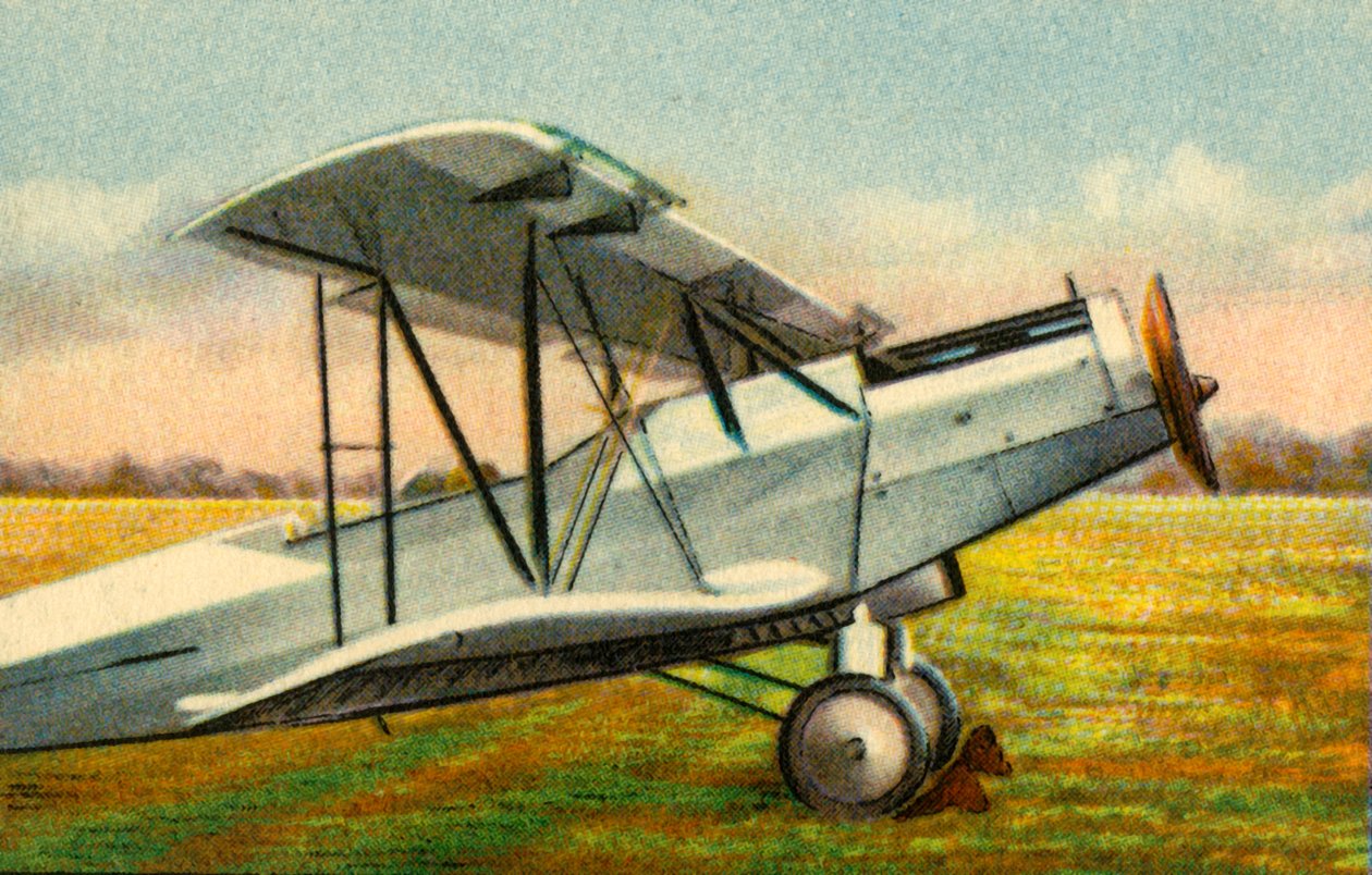 Aereo Albatros L 75a Ass da Unbekannt