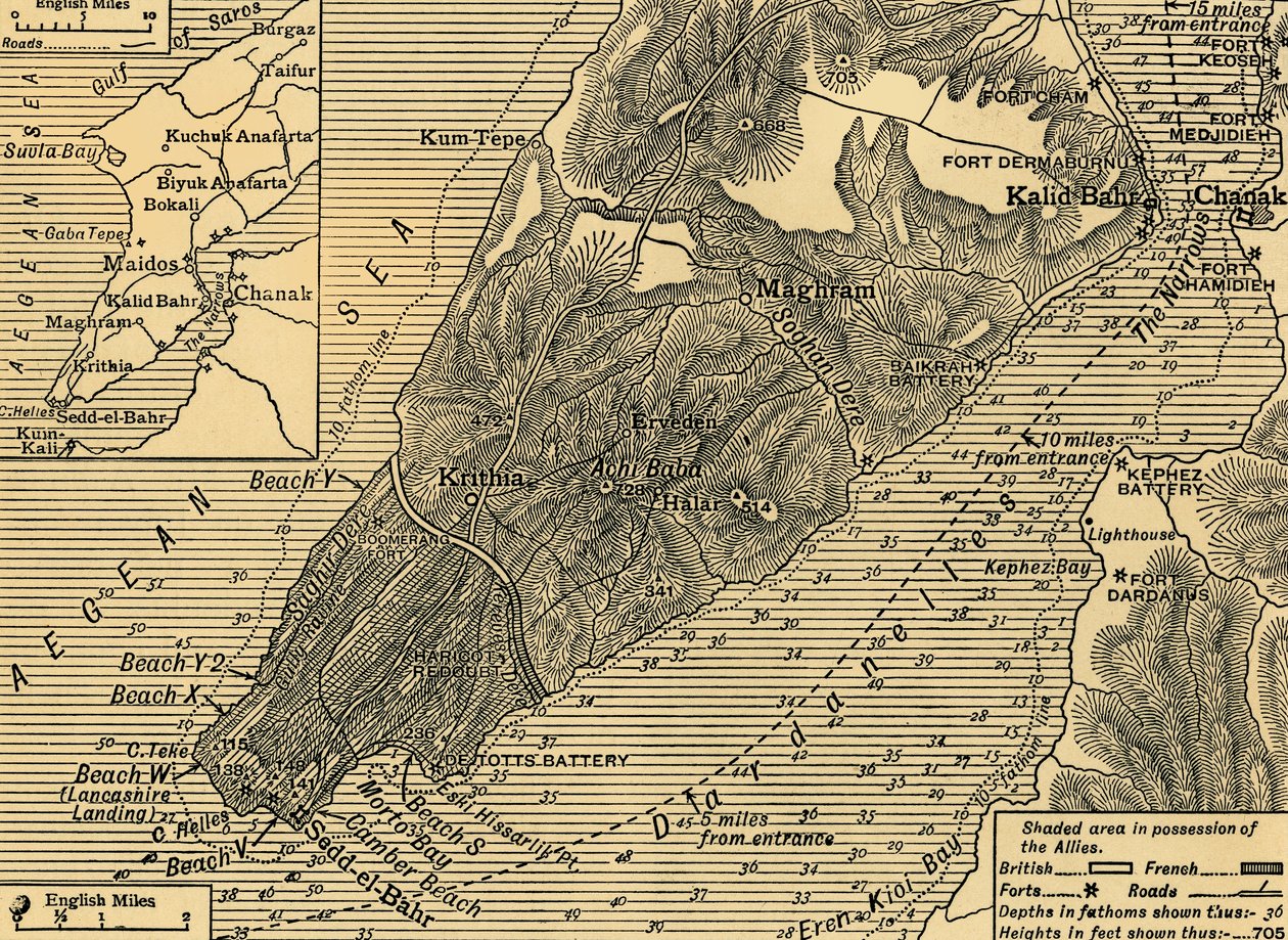 Posizioni alleate sulla penisola di Gallipoli in Turchia, Prima Guerra Mondiale, luglio 1915 da Unbekannt