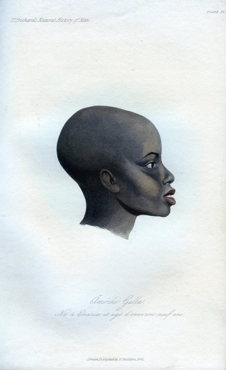 Amochi Galla, un ritratto di un Galla, 1848 da Unbekannt