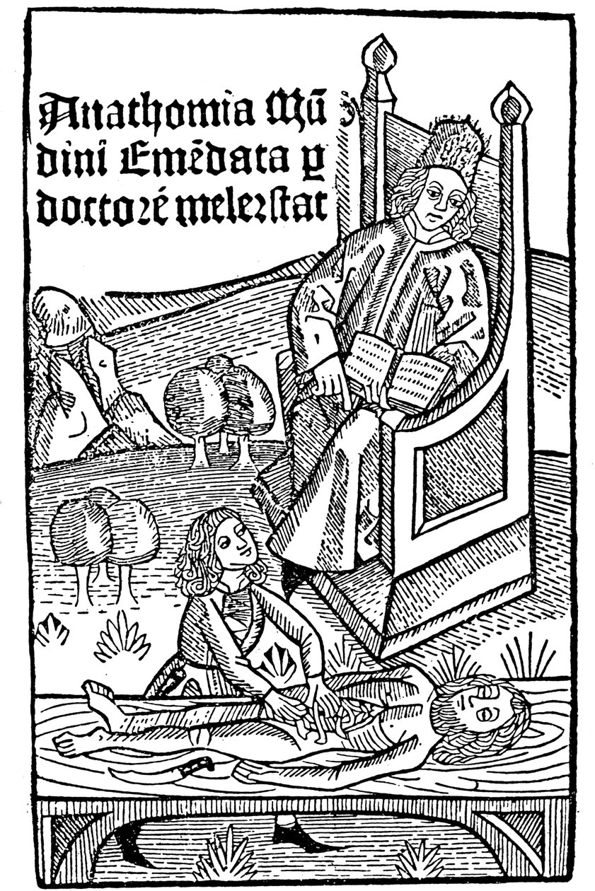 Dimostrazione di anatomia, 1493 da Unbekannt