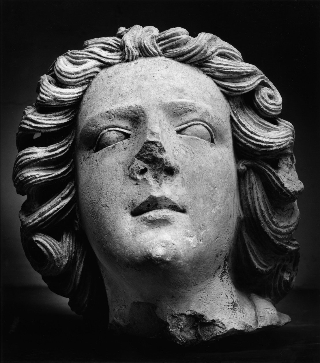 Testa d