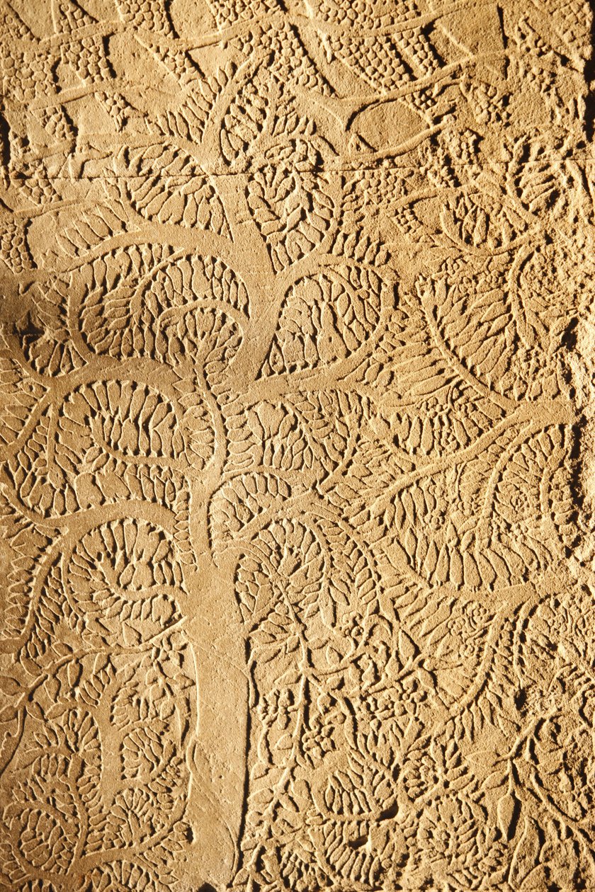 Angkor Wat, dettaglio scolpito sul muro, albero da Unbekannt