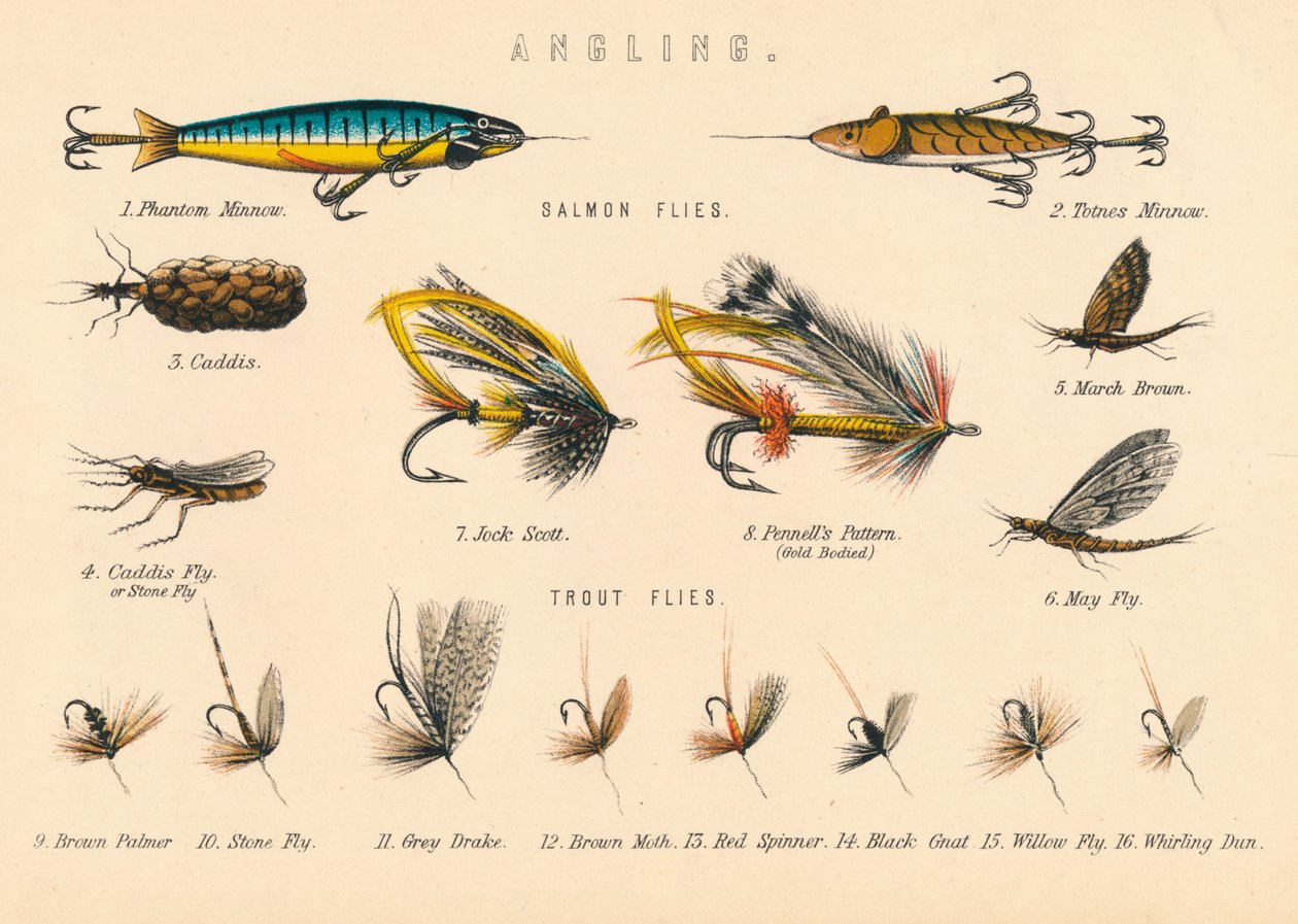 Pesca, XX secolo da Unbekannt