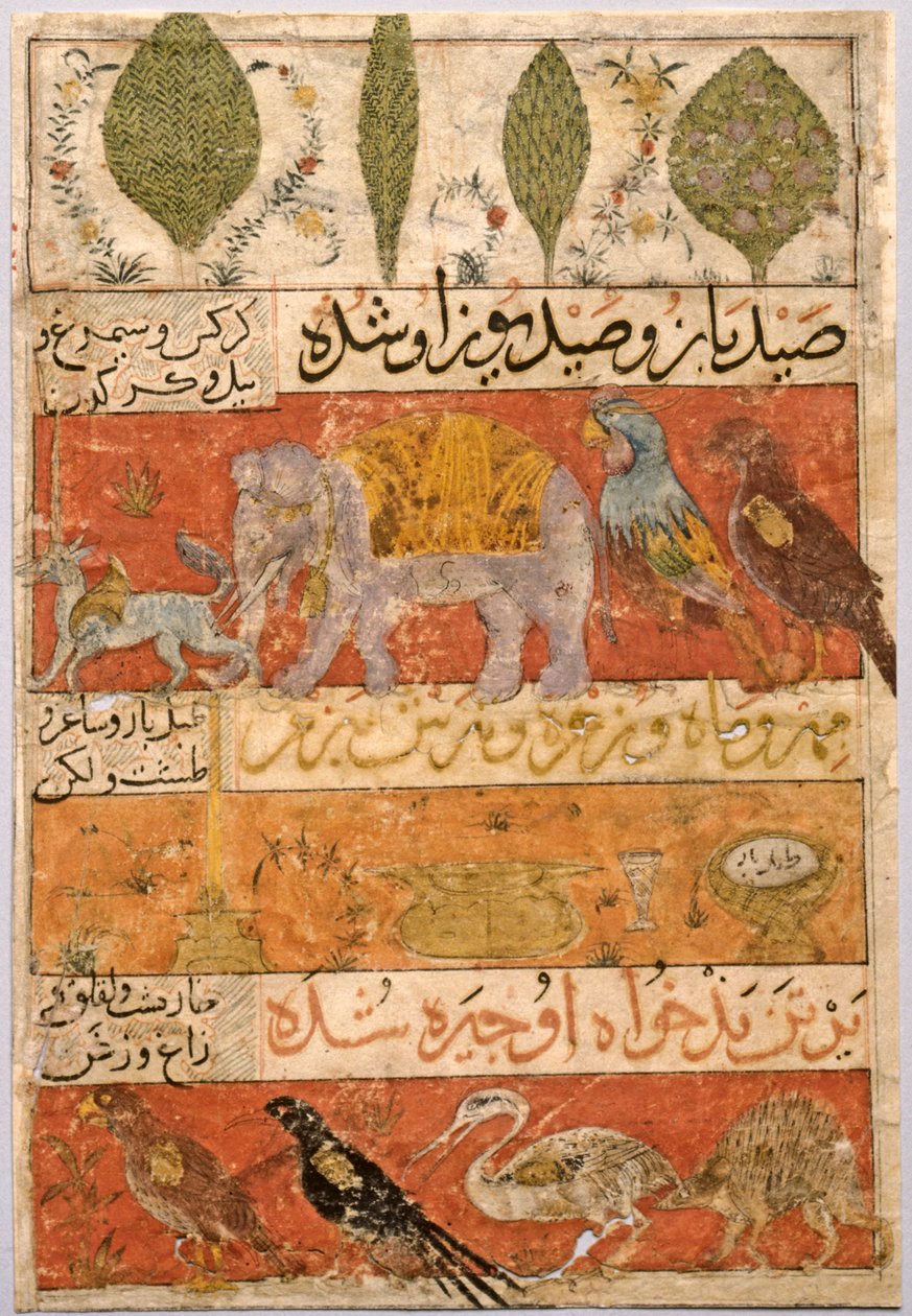 Animali, uccelli e piante verso, illustrazione e versi persiani..., 1341 da Unbekannt