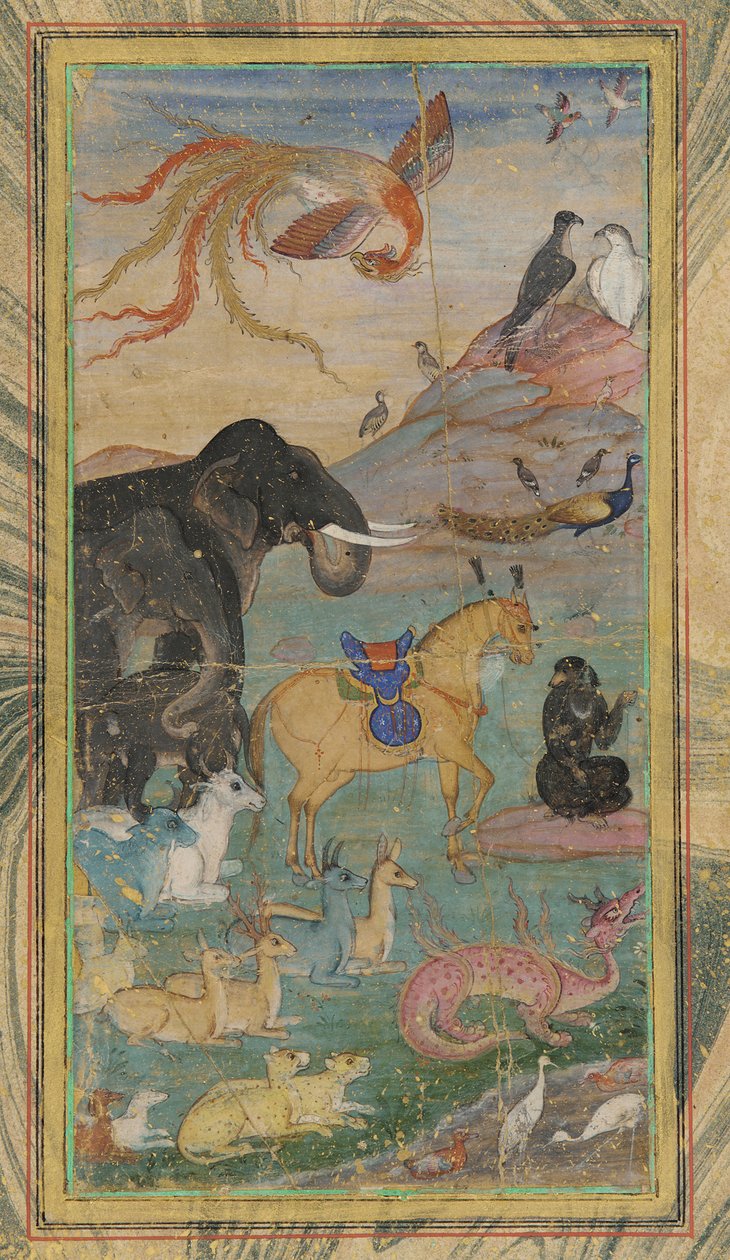 Animali e uccelli, XVII secolo da Unbekannt