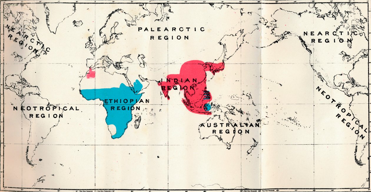 Anthropoidea - VI. Mappa della distribuzione di varie specie Blu e Macacus Rosso, 1897 da Unbekannt
