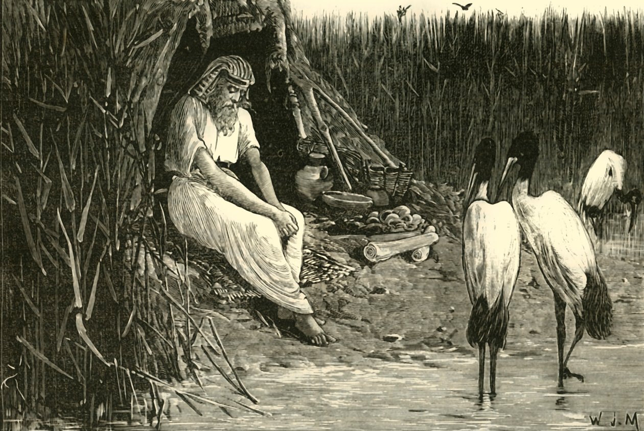 Anysis nascosto nelle paludi del delta, 1890 da Unbekannt