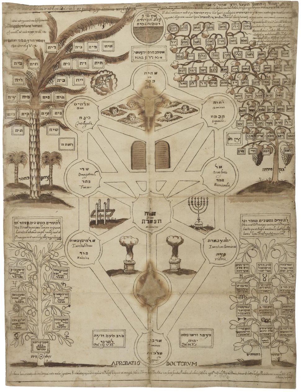 Arbor Cabalistica Albero Kabbalistico, ca 1625 da Unbekannt