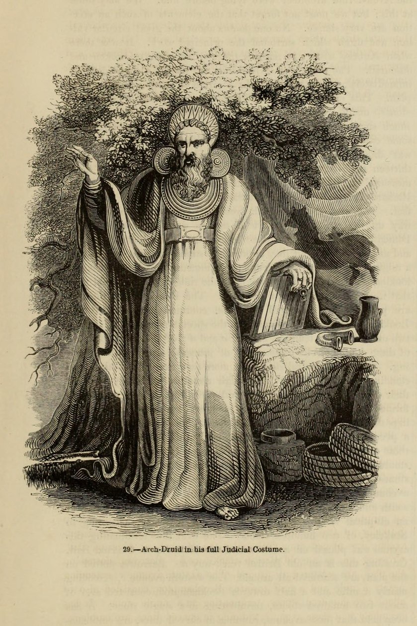Arcidruido nel suo costume giudiziario completo. Dal libro Old England: A Pictorial Museum, 1845 da Unbekannt