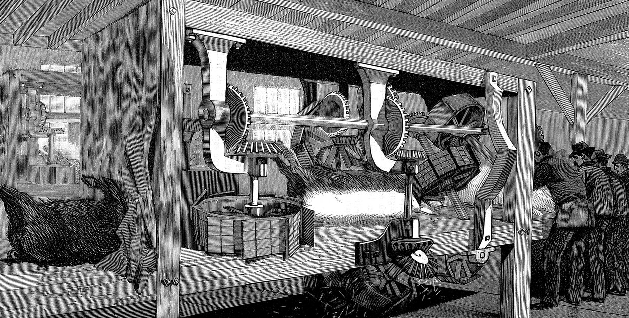 Macello di maiali della Armour Company, Chicago, Illinois, USA, 1892 da Unbekannt