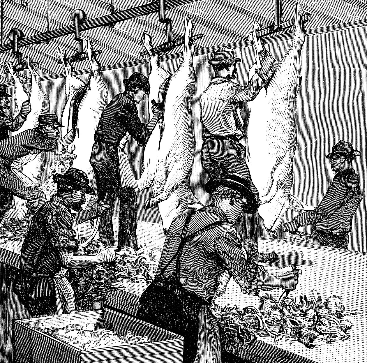 Macello di maiali della Armour Company, Chicago, Illinois, USA, 1892 da Unbekannt