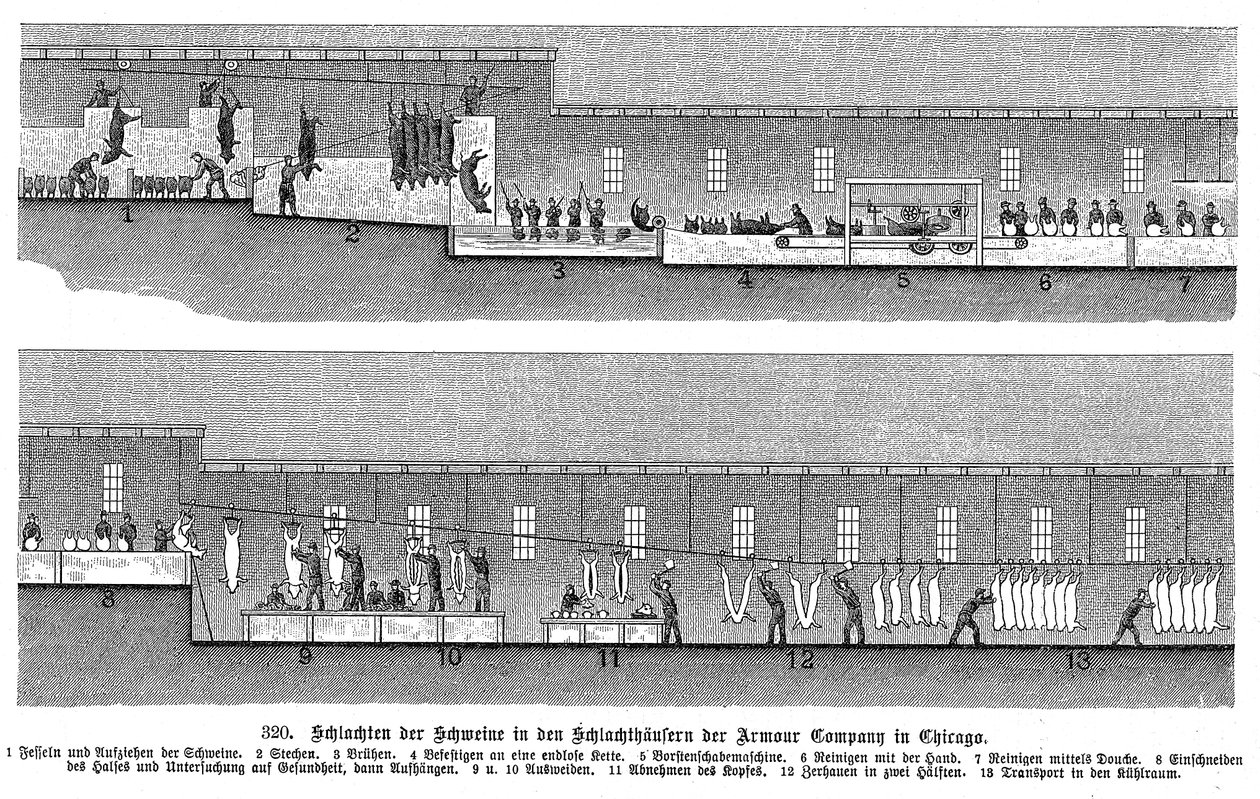 Macello di maiali della Armour Company, Chicago, Illinois, USA da Unbekannt