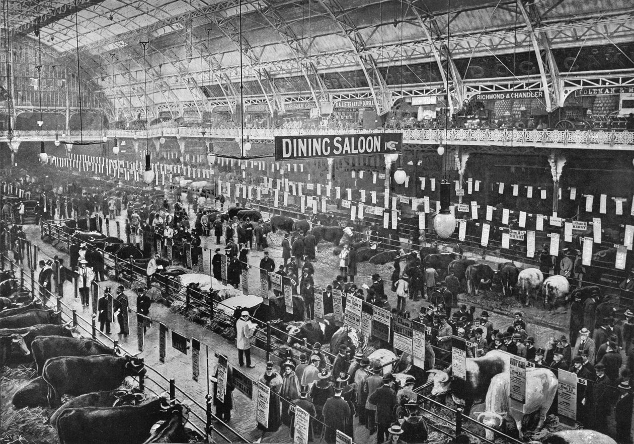 Alla mostra del bestiame del Smithfield Club, Agricultural Hall, Islington, Londra, 1902-1903 da Unbekannt