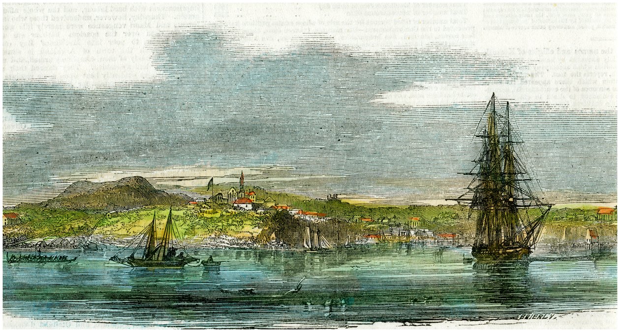 Auckland, Nuova Zelanda, c1880 da Unbekannt