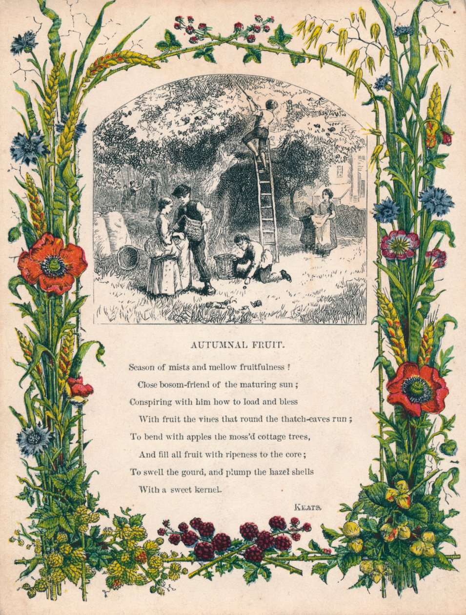 Frutta autunnale di Keats, c1900 da Unbekannt