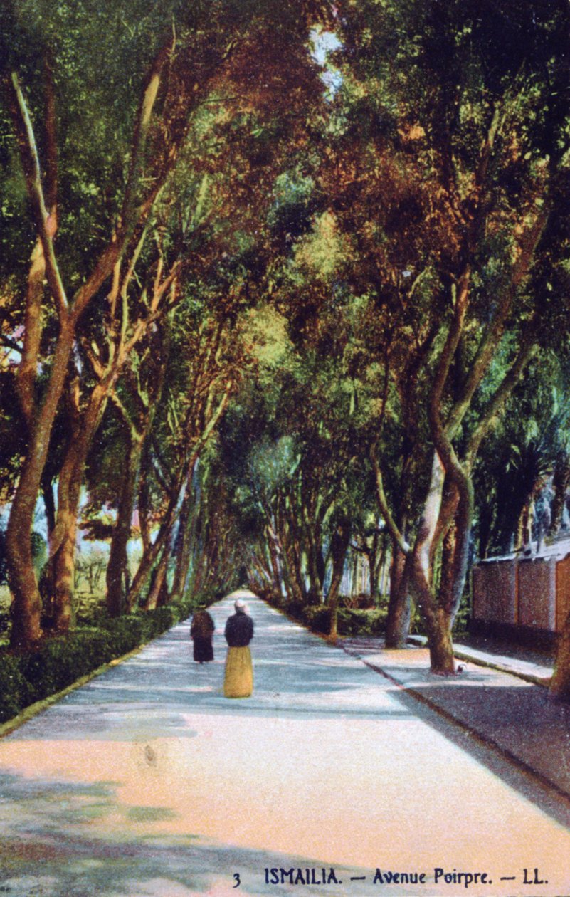 Avenue Poirpre, Ismailia, Egitto, c. 1900 da Unbekannt
