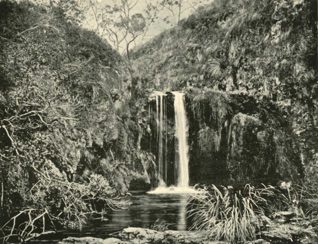 Cascate di Back Creek, fiume Buchan, Victoria, 1901 da Unbekannt