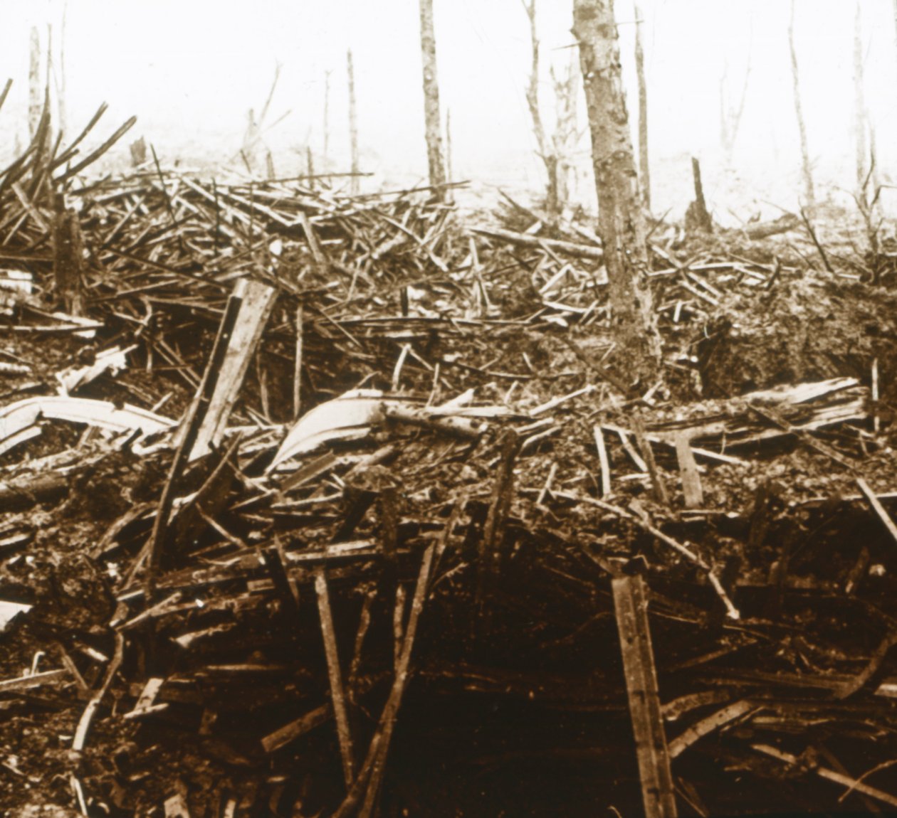 Campo di battaglia, c1914-c1918 da Unbekannt