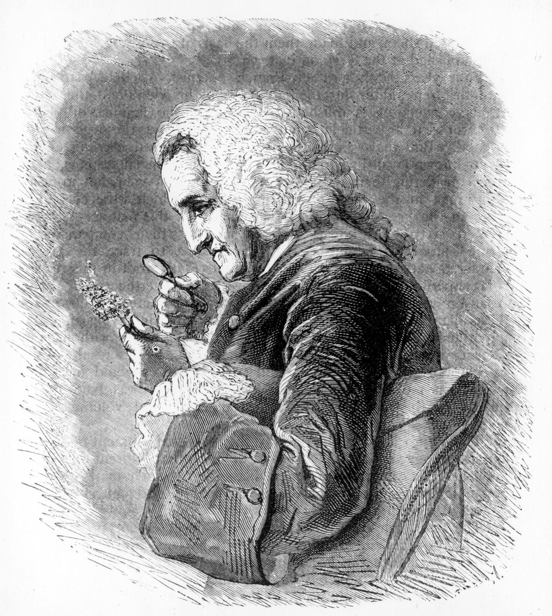 Bernard de Jussieu, botanico francese del XVIII secolo, 1880 da Unbekannt