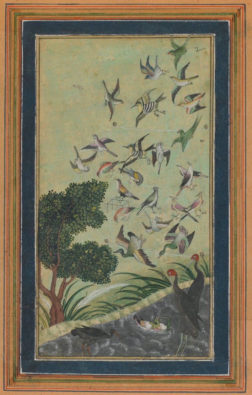 Uccelli a Baran, possibilmente dal Babur-nama, fine XVI secolo da Unbekannt