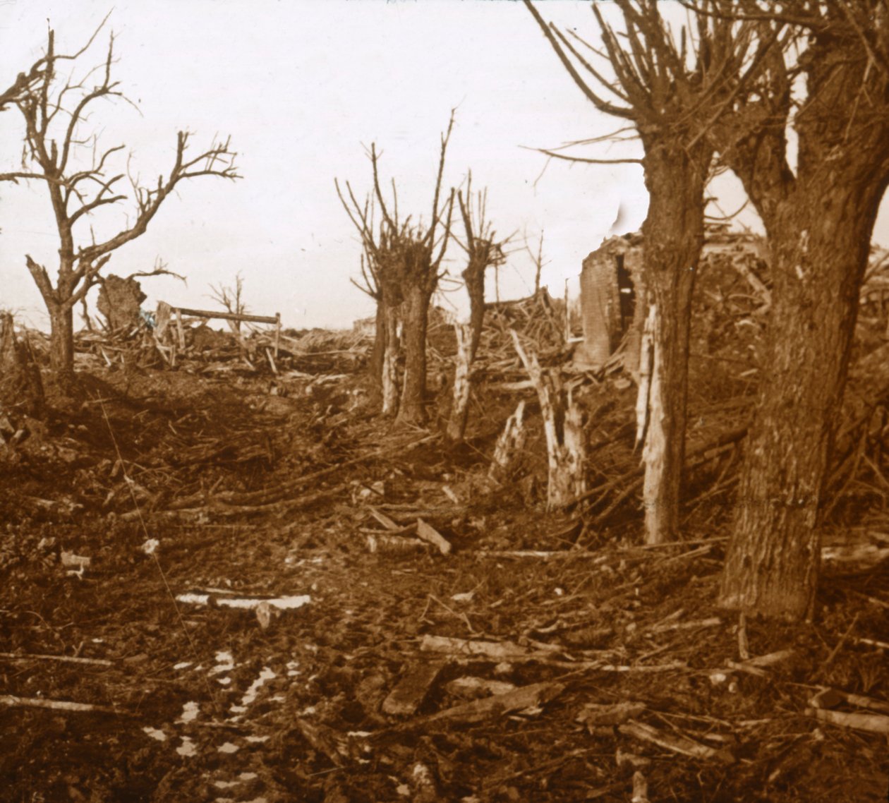 Paesaggio devastato, Belloy-en-Santerre, Francia settentrionale da Unbekannt