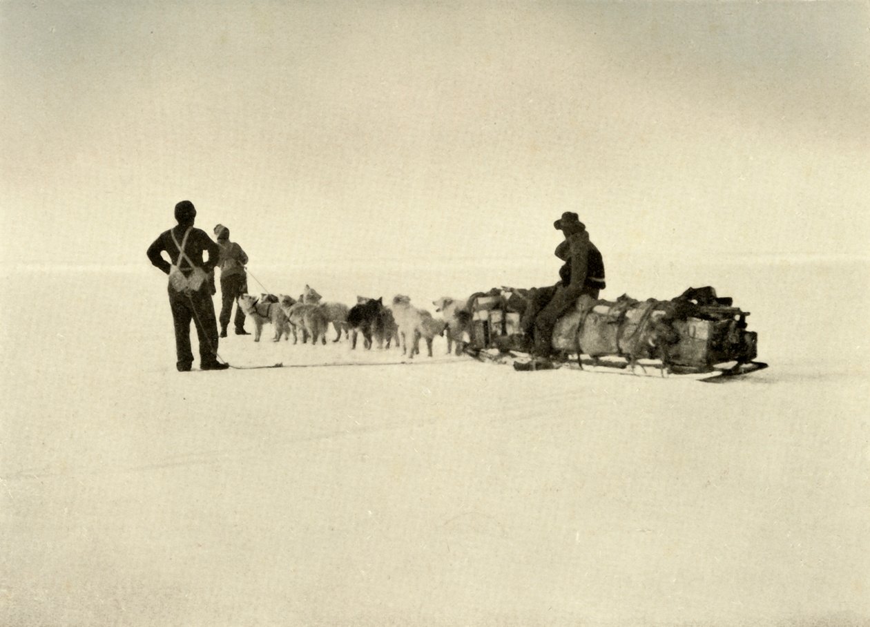 Bluff Depot Party sulla barriera, c1908, 1909 da Unbekannt