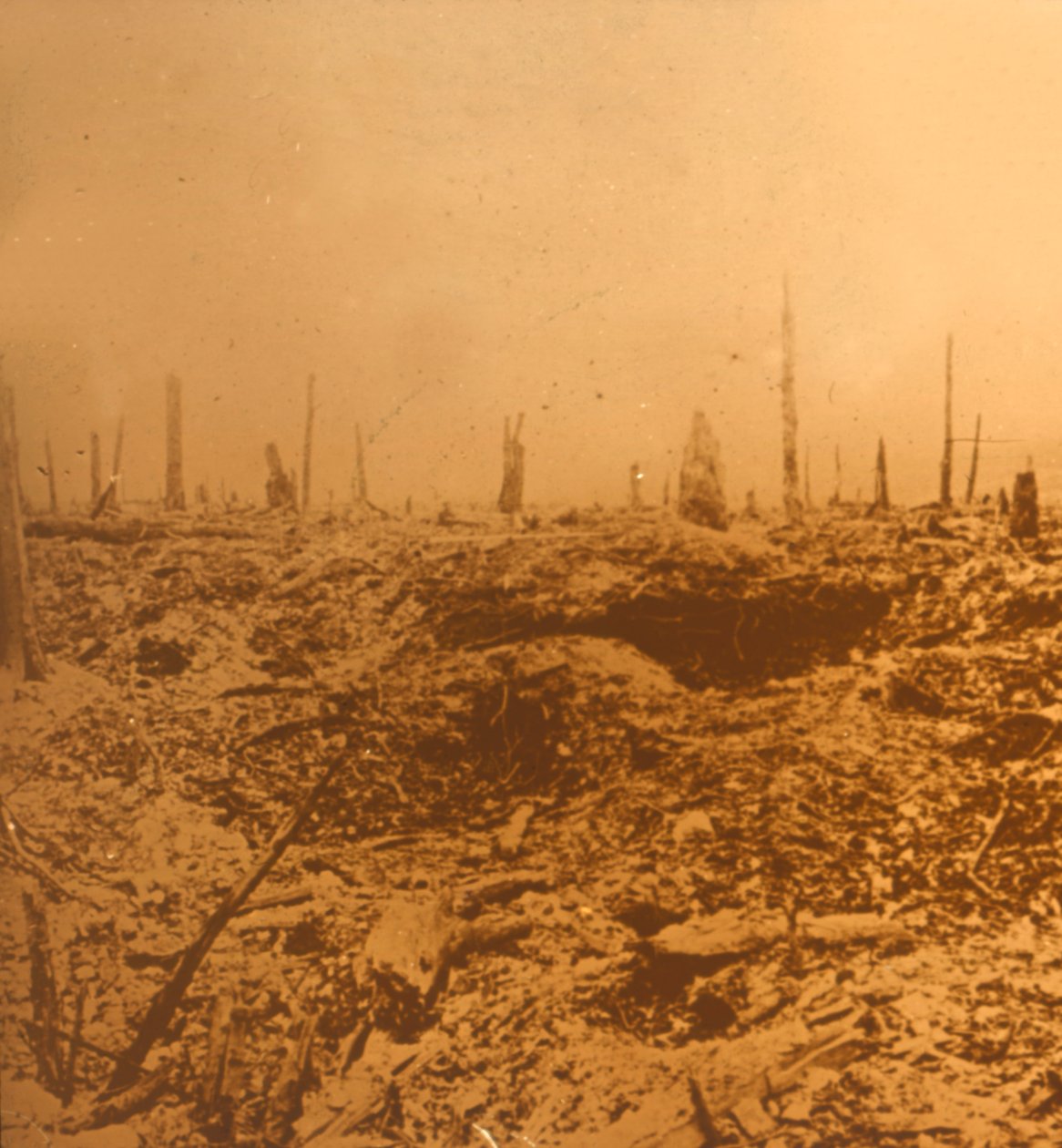 Bois du Chapitre, Vaux, nord della Francia, c1914-c1918 da Unbekannt