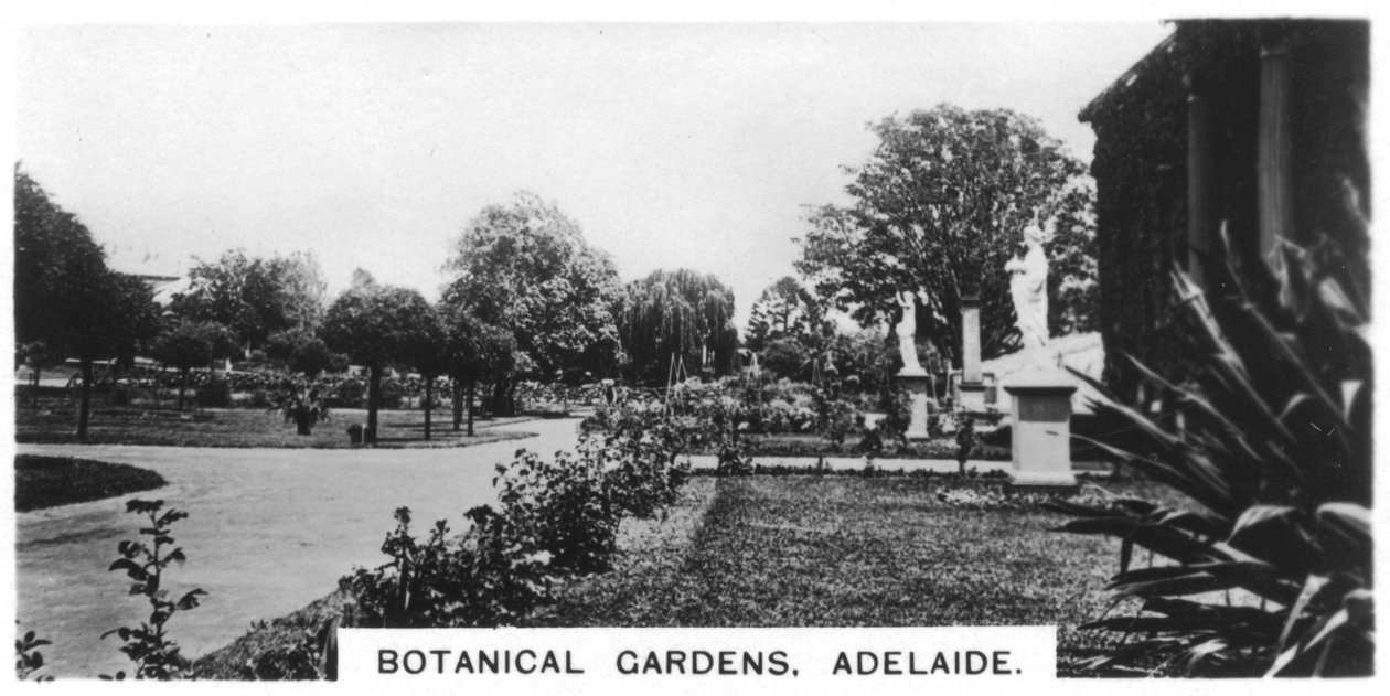 Giardini Botanici, Adelaide, Australia, 1928 da Unbekannt