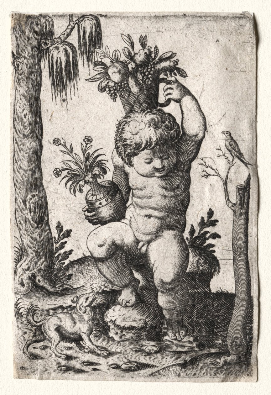 Ragazzo con cesto di frutta, 1500 o 1600 da Unbekannt