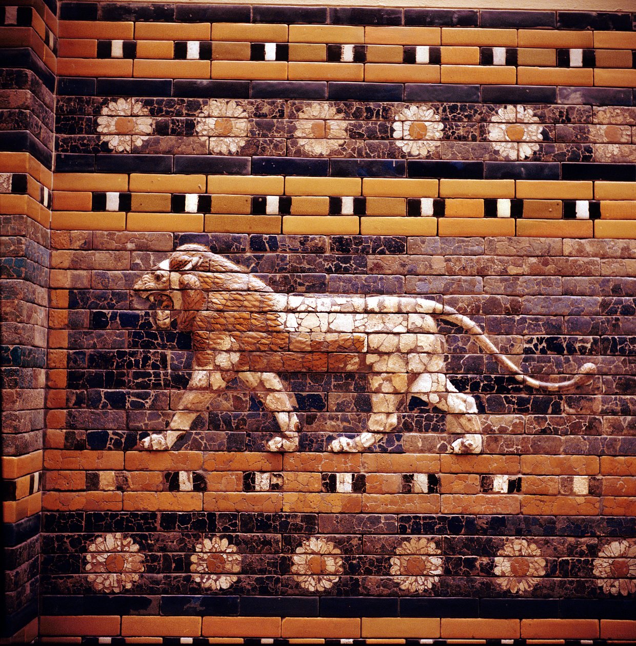 Rilievo in mattoni di un leone sulle mura della Via Sacra che conduce alla Porta di Ishtar, Babilonia, c580 a.C. da Unbekannt