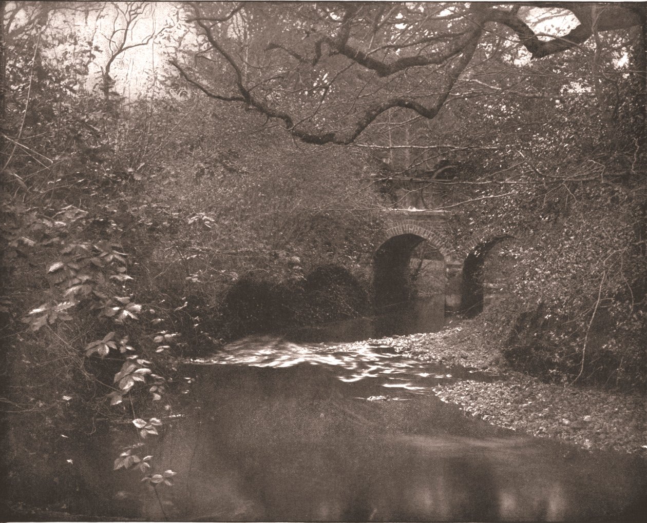 Ruscello e ponte nella New Forest, Hampshire, 1894 da Unbekannt
