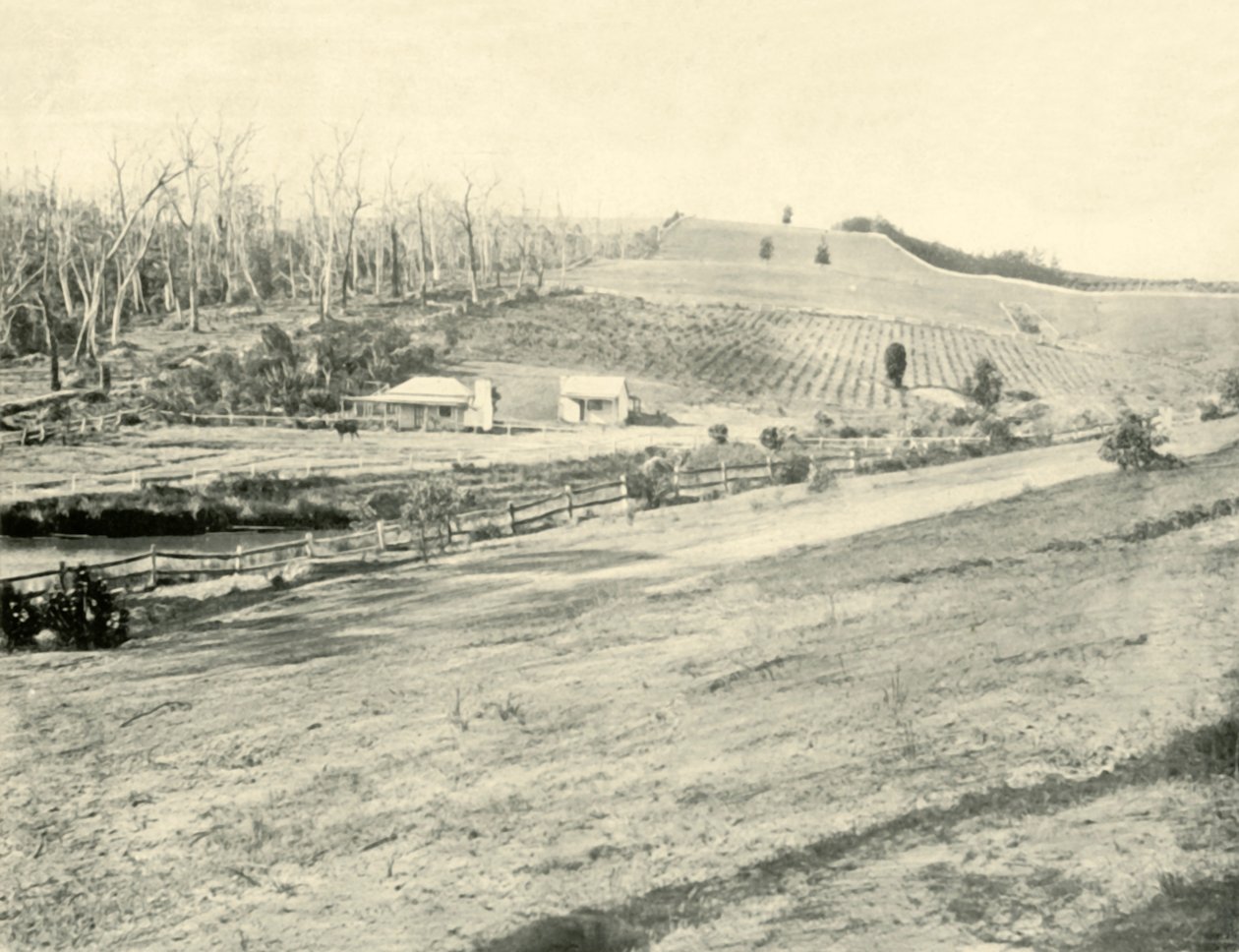 Casa del lavoratore del bush, Gippsland, Victoria da Unbekannt