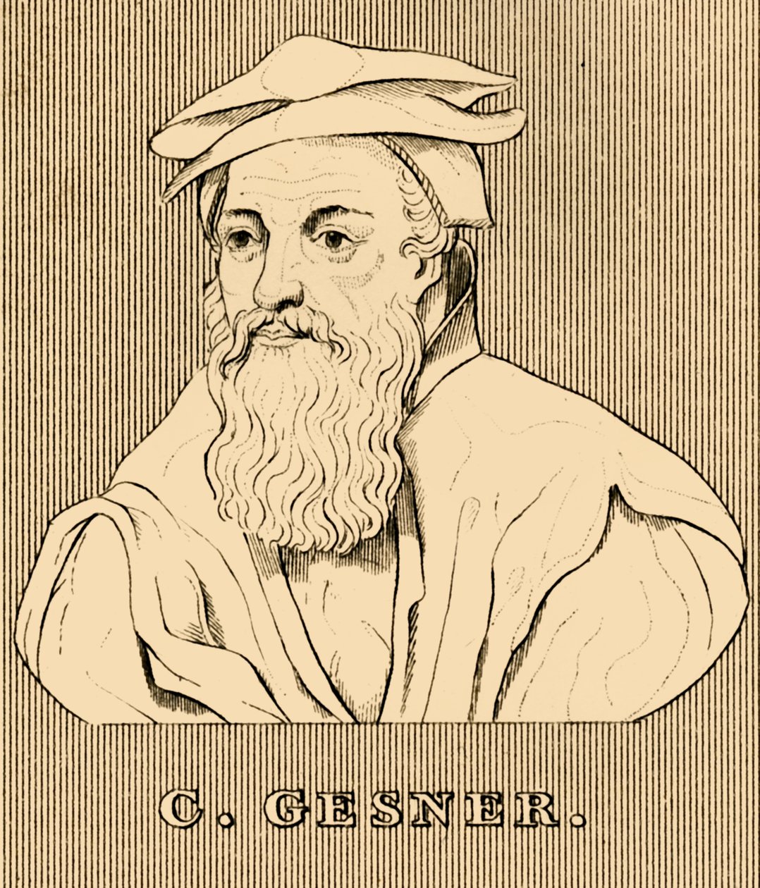 C. Gesner, 1516-1565, 1830 da Unbekannt