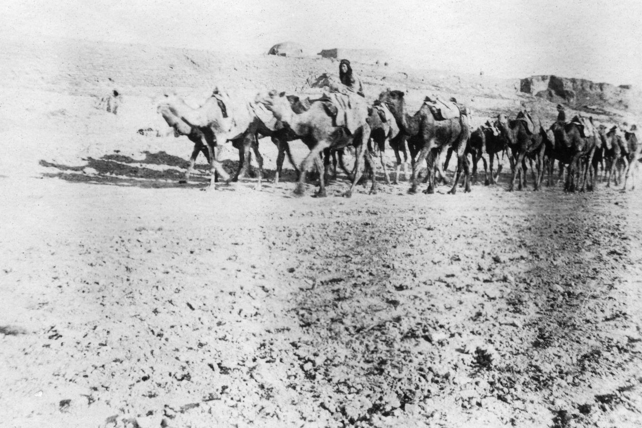 Carovana di cammelli, Mosul, Mesopotamia, 1918 da Unbekannt