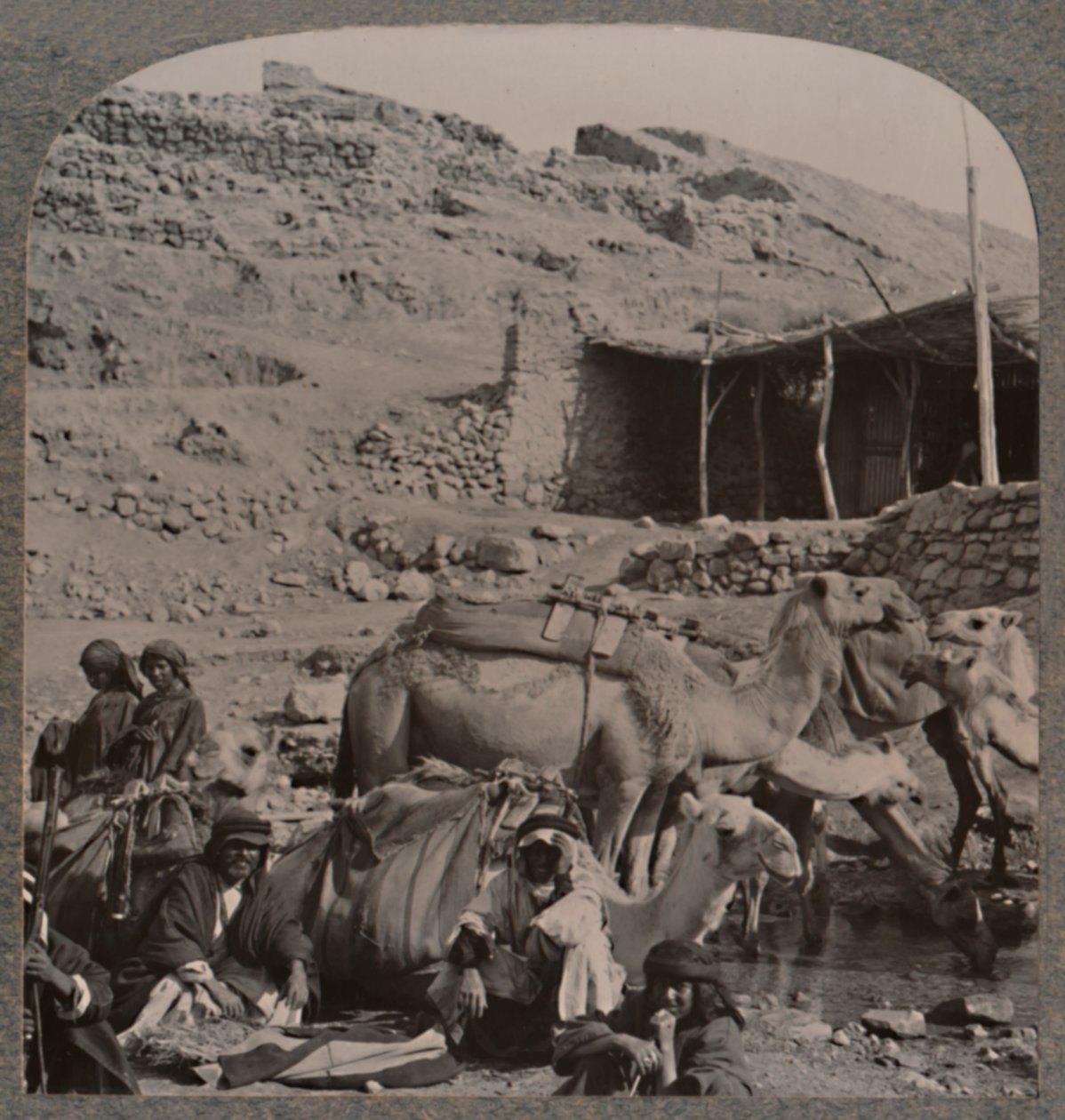 Carovana di cammelli da Jerash, che si abbevera alla Fontana di Elisha, c1900 da Unbekannt