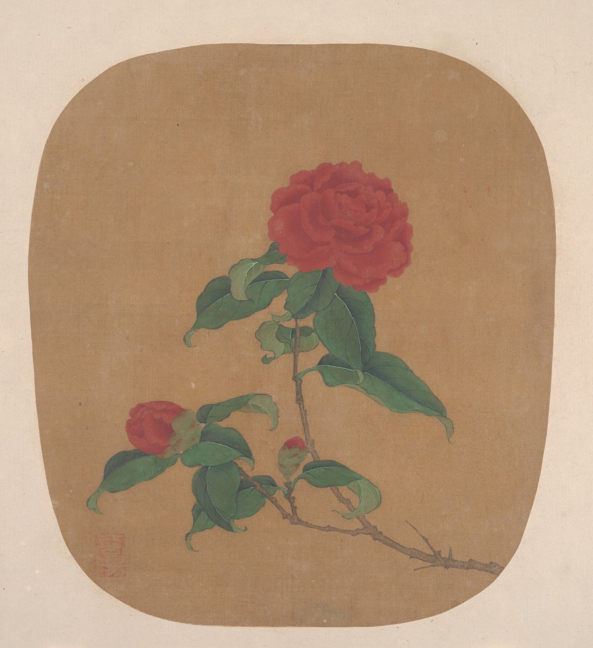 Fiori di Camelia da Unbekannt